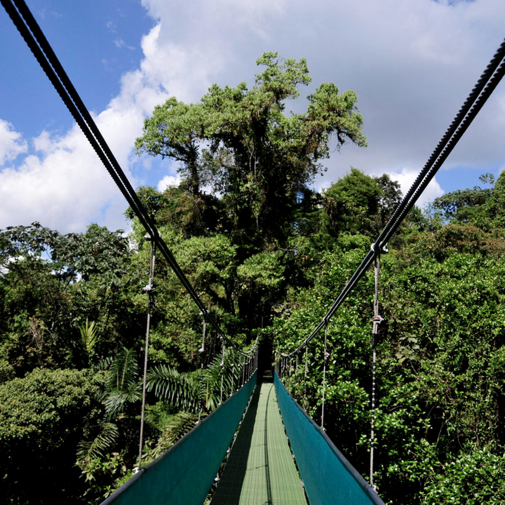 Arenal, Aerial Tram, Sky Walk, & Zip Lines