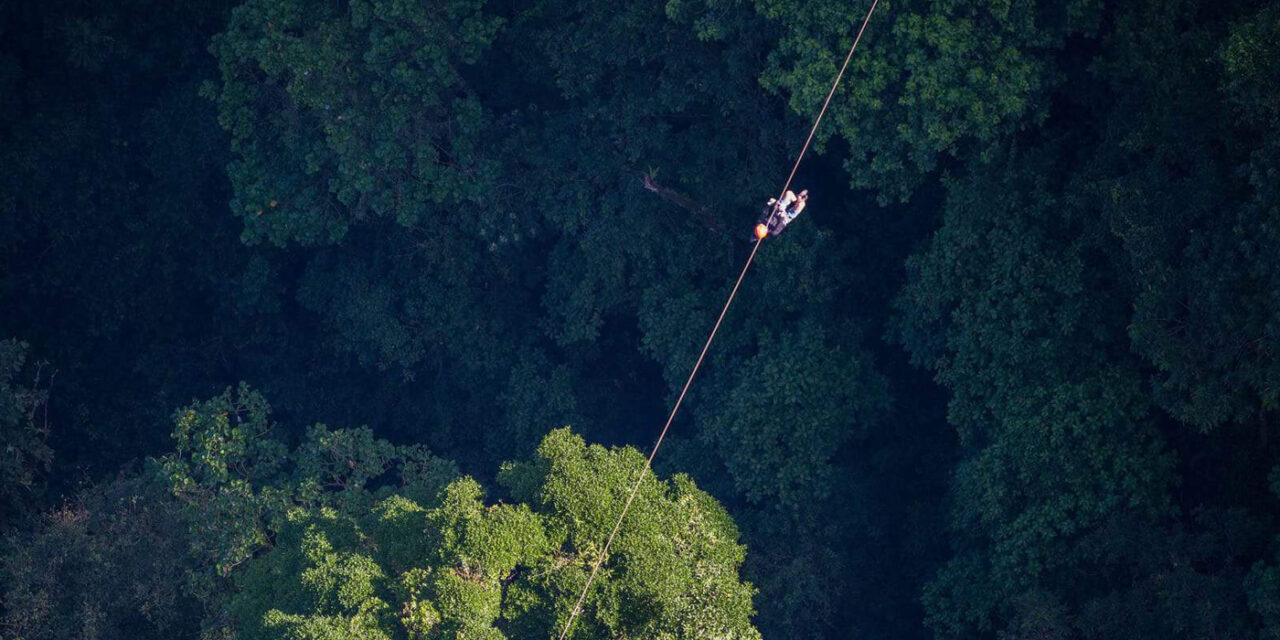 Canopy, Adventure Zip Lines, Monkey Swing Superman