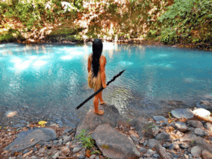 https://soltropical.com/wp-content/uploads/2026/06/3572-019eb421-959e-7105-9dc3-c3c7ae7e6f5c-300x225.png