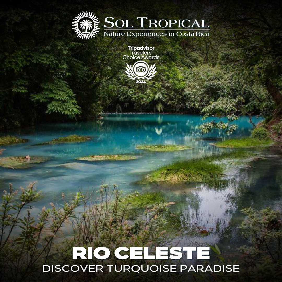 RIO CELESTE - DISCOVER TURQUOISE PARADISE - Image 2