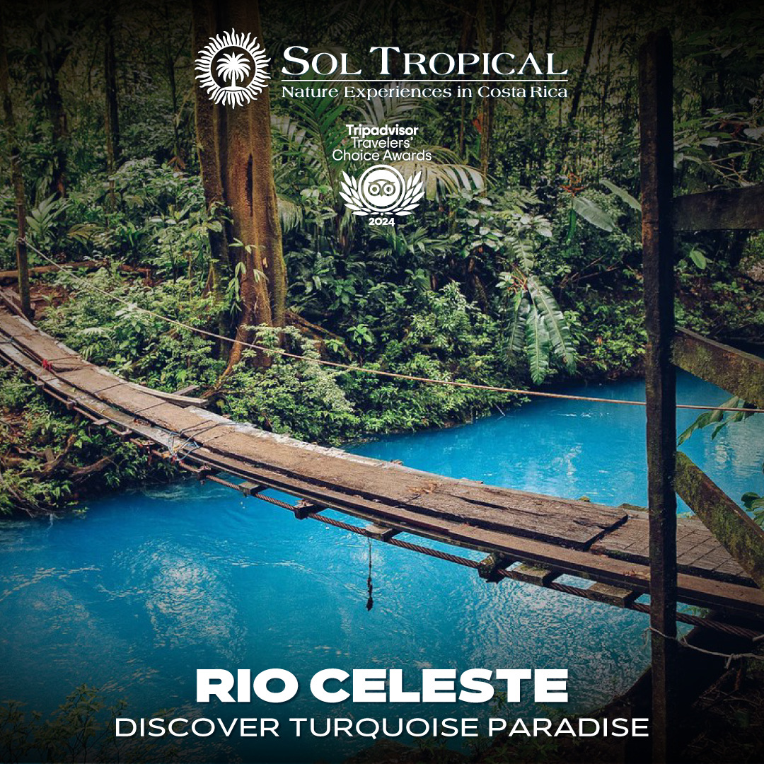 RIO CELESTE - DISCOVER TURQUOISE PARADISE - Image 5