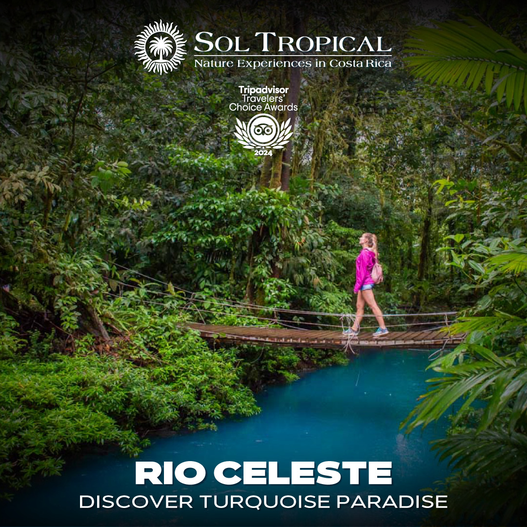RIO CELESTE - DISCOVER TURQUOISE PARADISE - Image 6