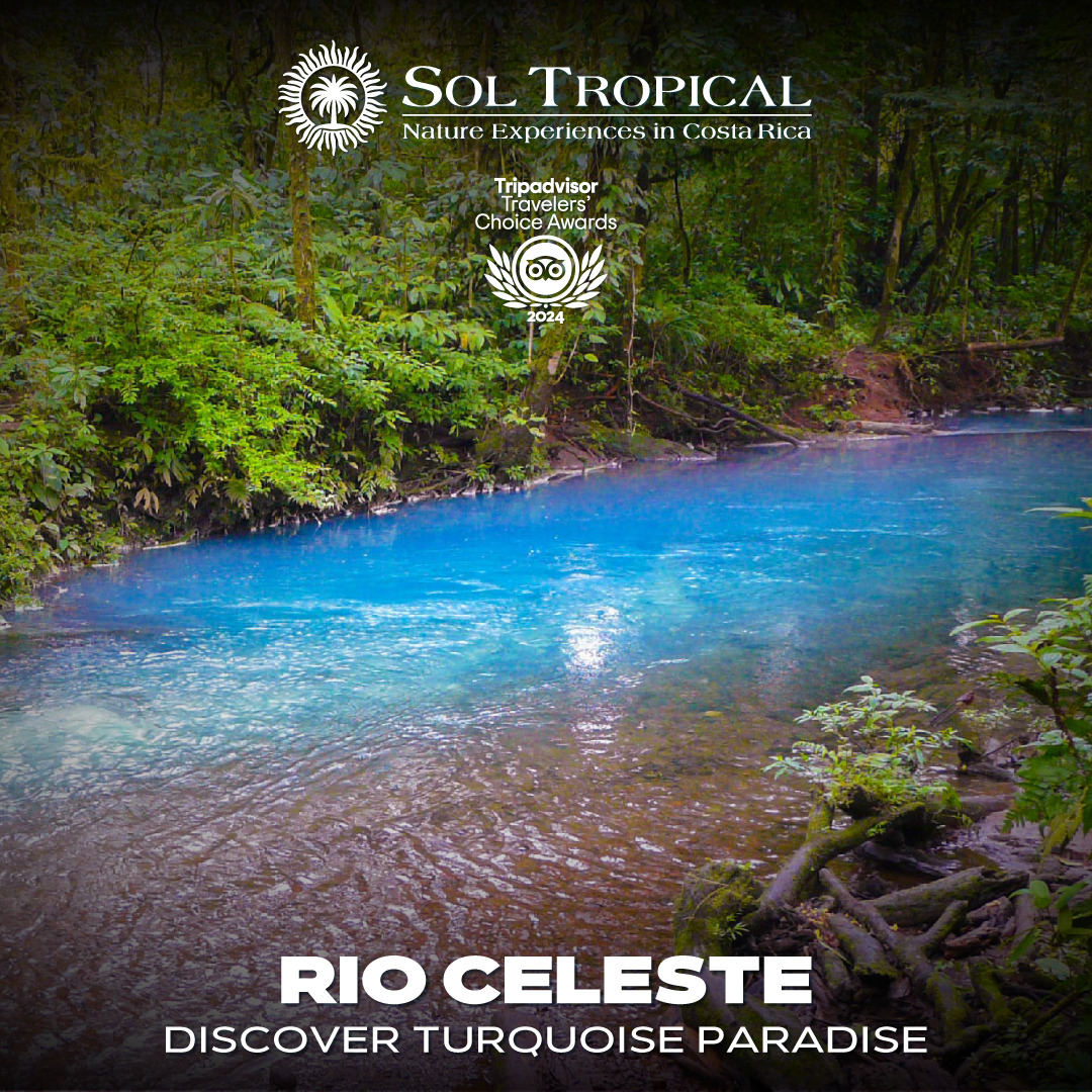 RIO CELESTE - DISCOVER TURQUOISE PARADISE - Image 4