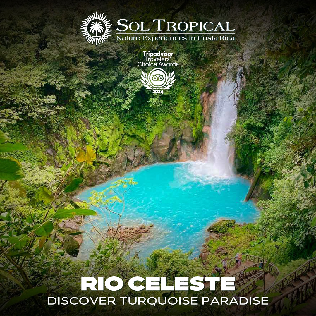 RIO CELESTE - DISCOVER TURQUOISE PARADISE - Image 7