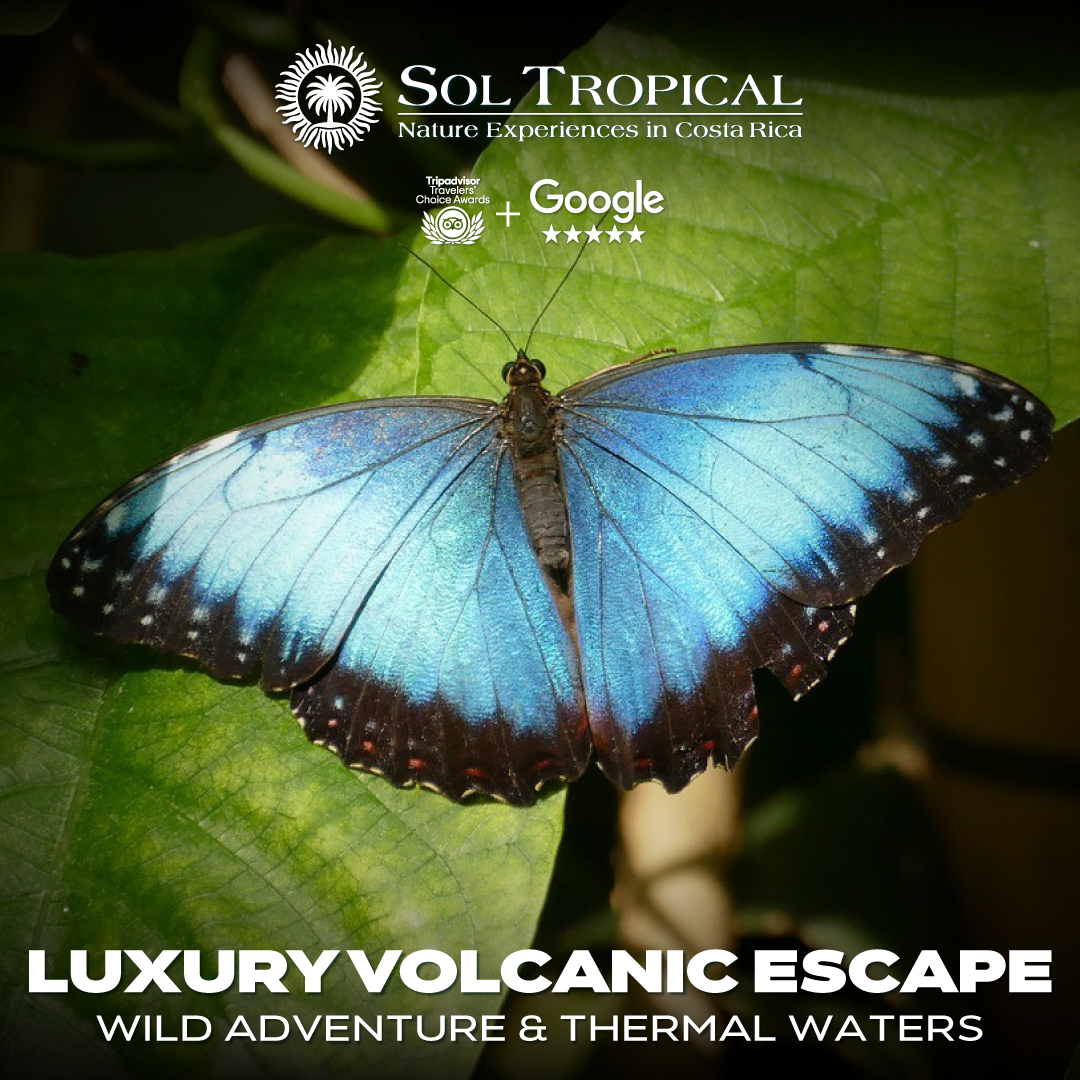 LUXURY VOLCANIC ESCAPE: WILD ADVENTURE & THERMAL WATERS - Image 4