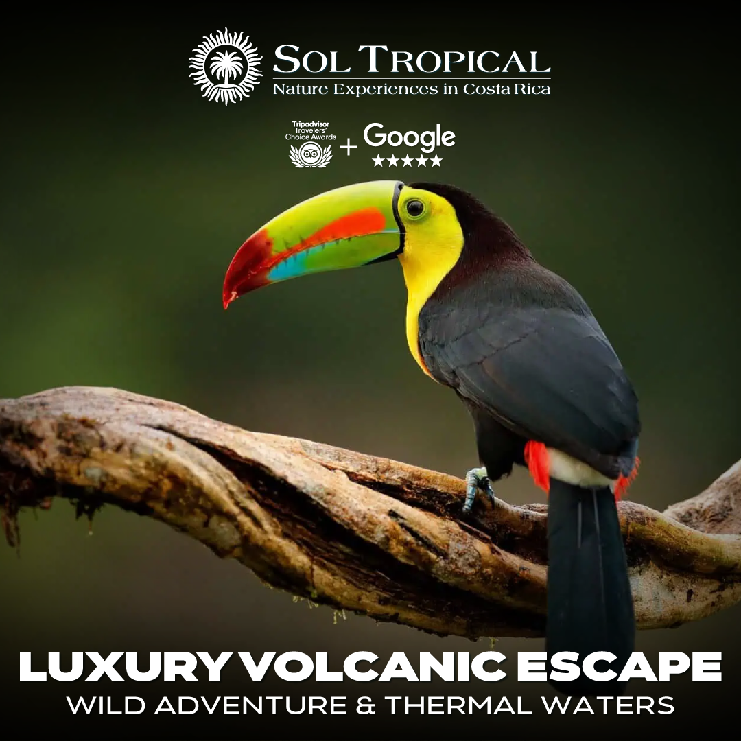 LUXURY VOLCANIC ESCAPE: WILD ADVENTURE & THERMAL WATERS - Image 8
