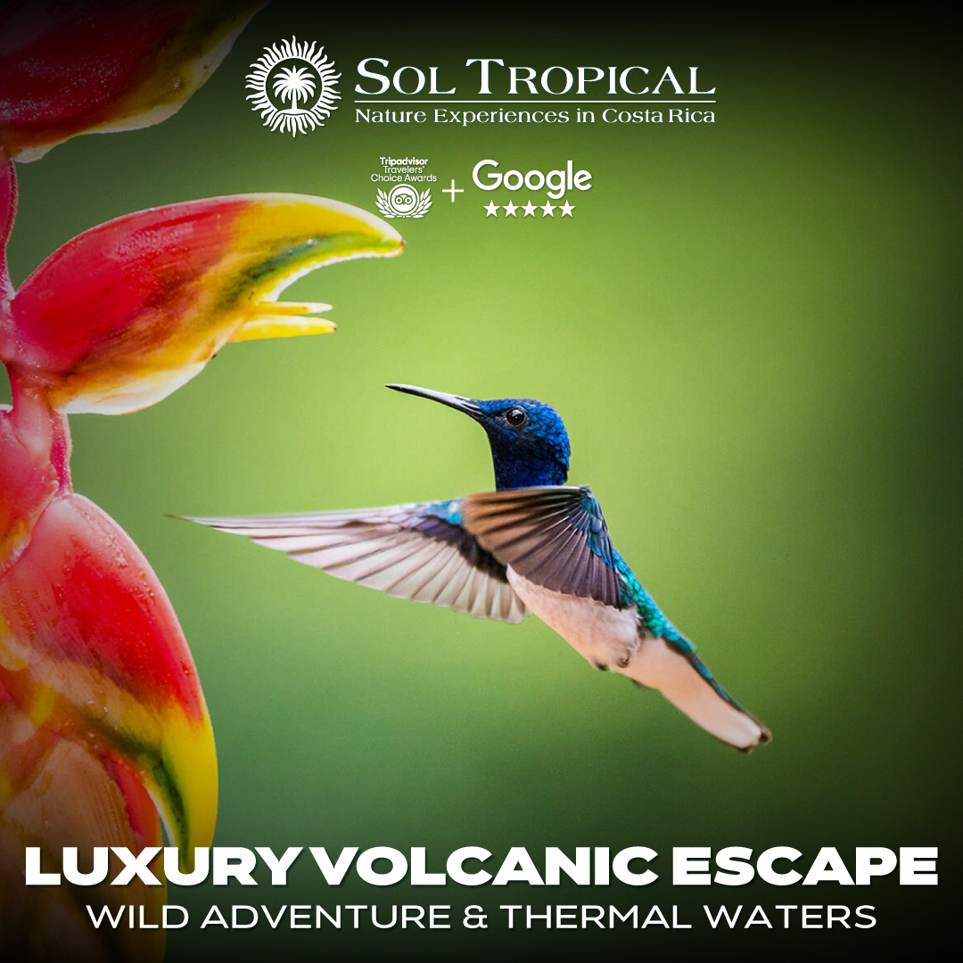 LUXURY VOLCANIC ESCAPE: WILD ADVENTURE & THERMAL WATERS