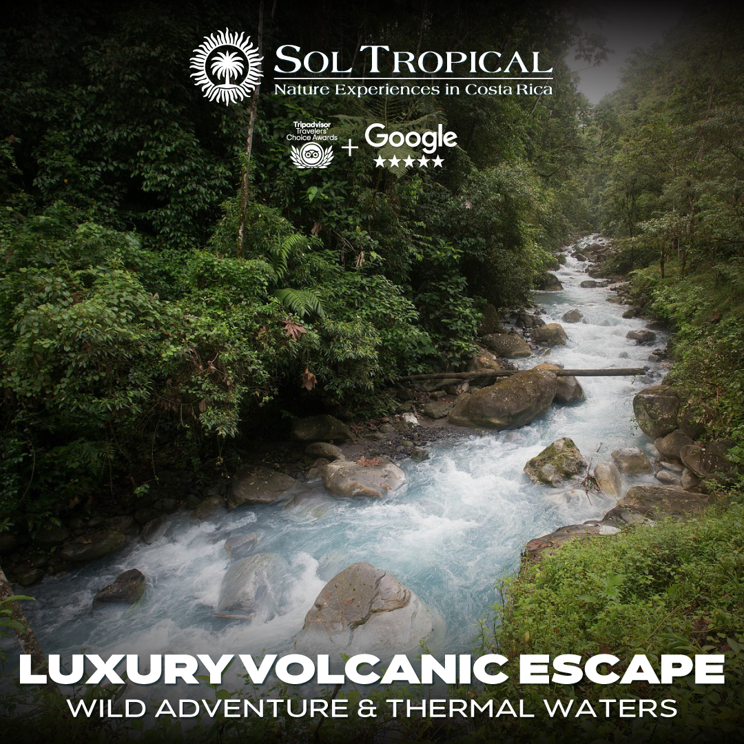 LUXURY VOLCANIC ESCAPE: WILD ADVENTURE & THERMAL WATERS - Image 5
