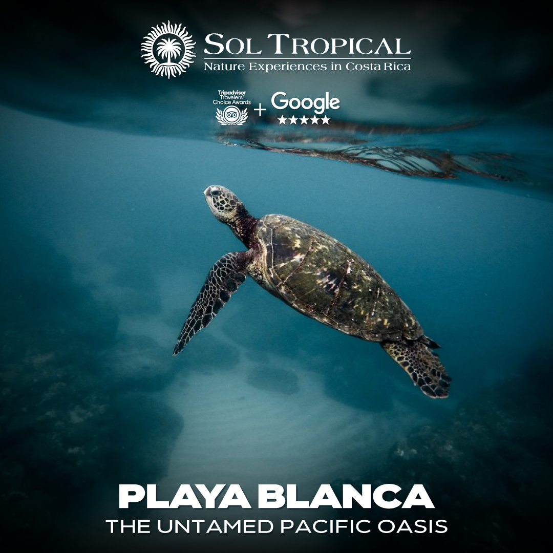 PLAYA BLANCA - THE UNTAMED PACIFIC OASIS - Image 6