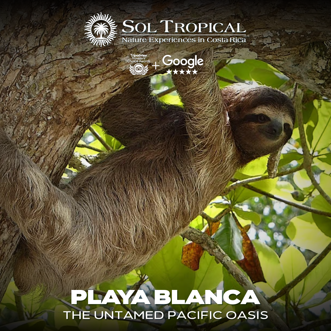 PLAYA BLANCA - THE UNTAMED PACIFIC OASIS - Image 5