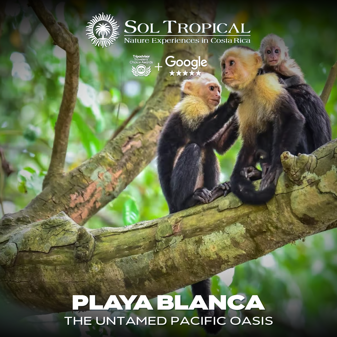 PLAYA BLANCA - THE UNTAMED PACIFIC OASIS - Image 8