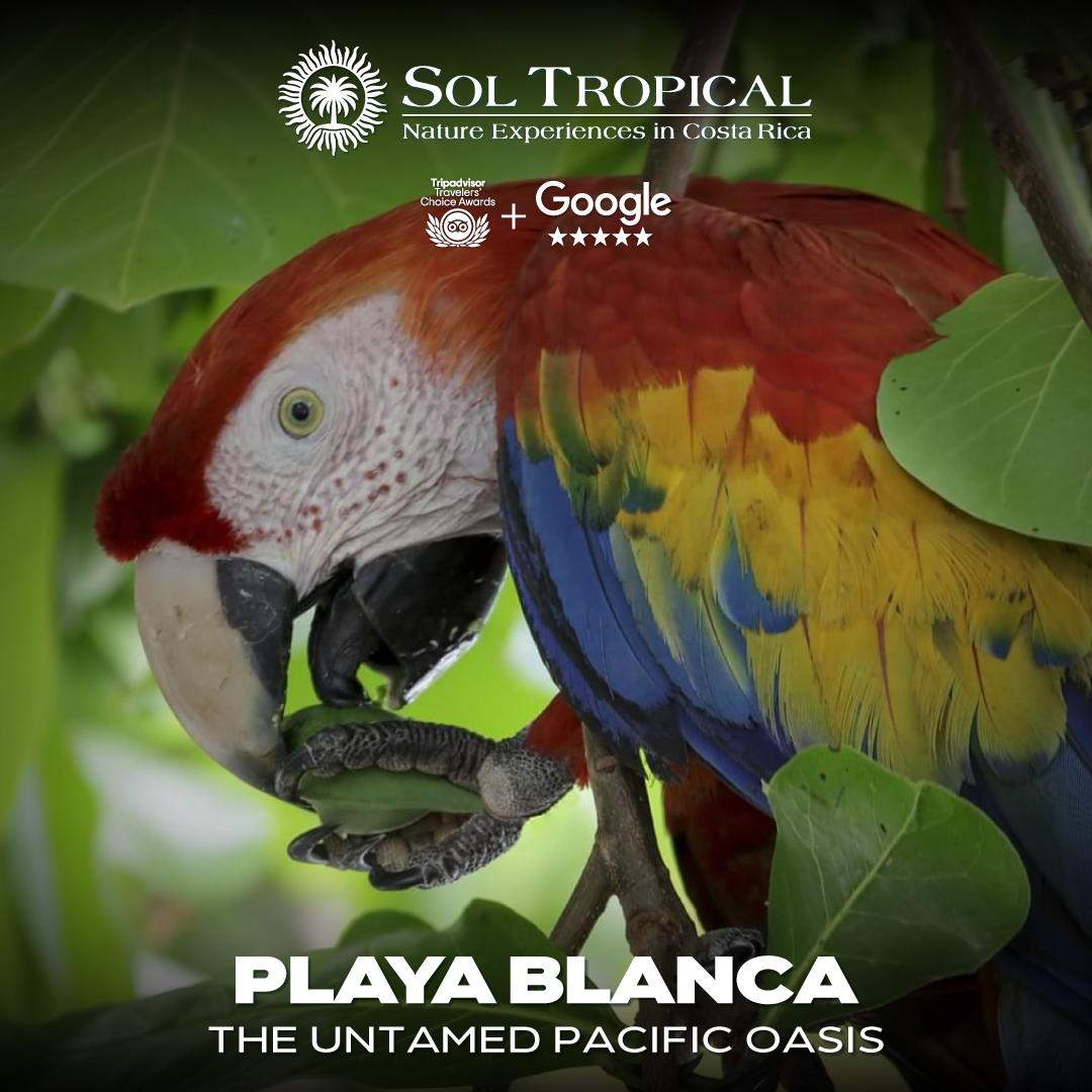 PLAYA BLANCA - THE UNTAMED PACIFIC OASIS - Image 2