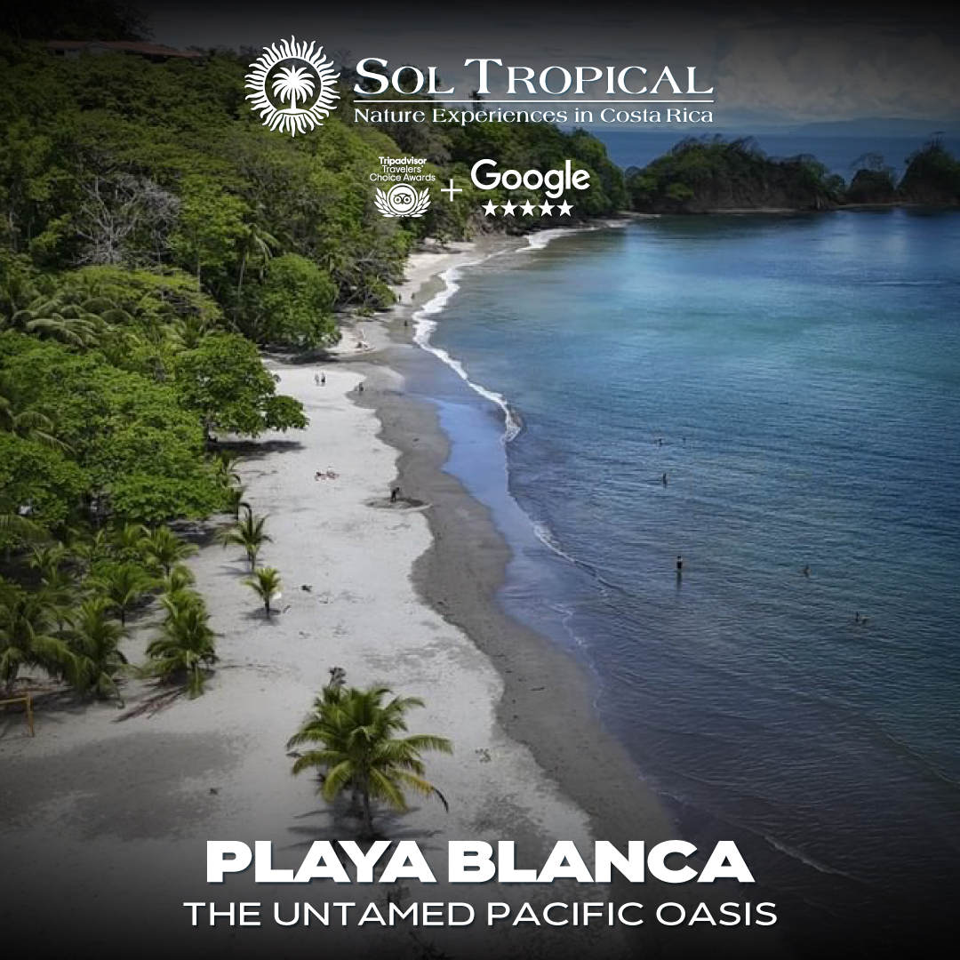 PLAYA BLANCA - THE UNTAMED PACIFIC OASIS - Image 10