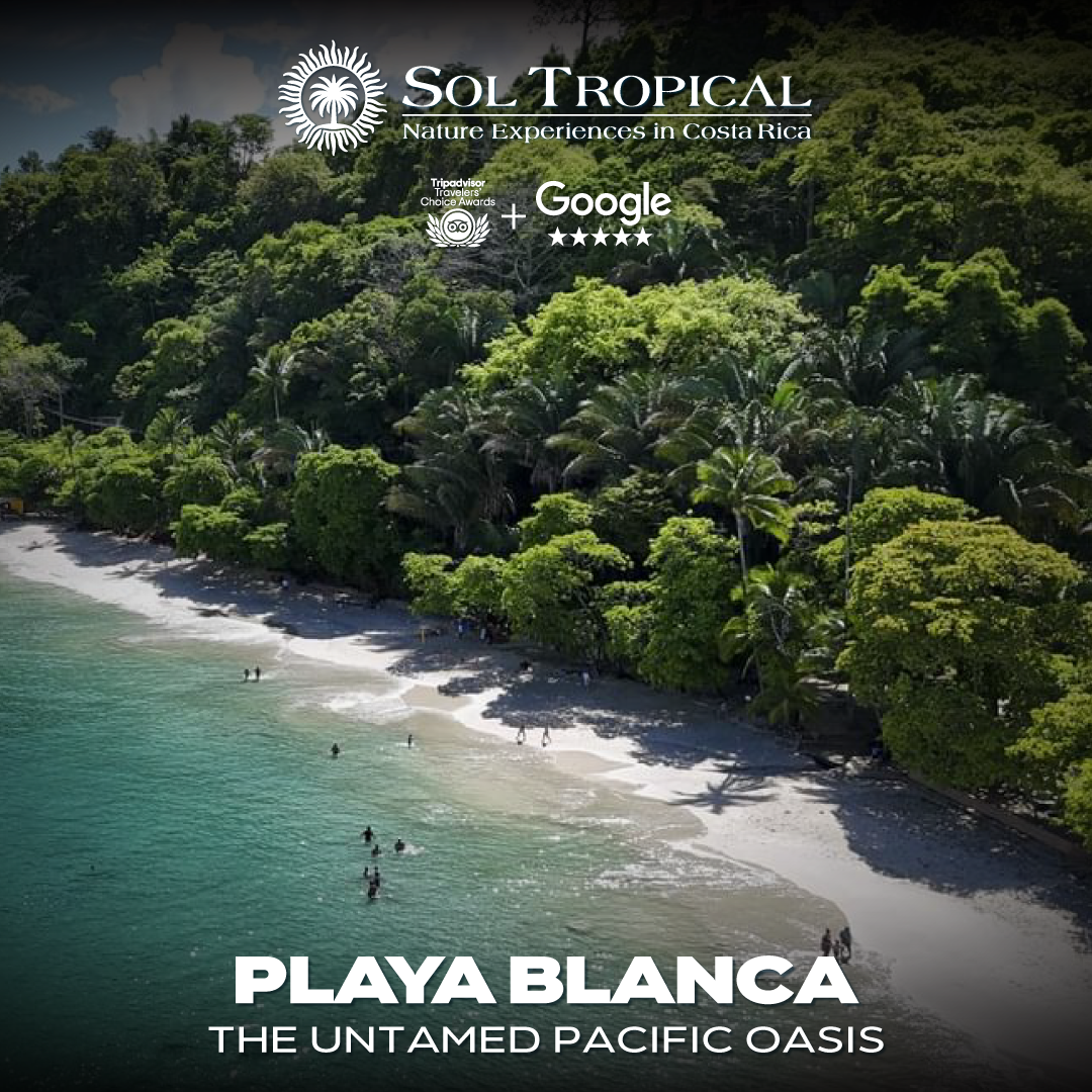PLAYA BLANCA - THE UNTAMED PACIFIC OASIS - Image 7